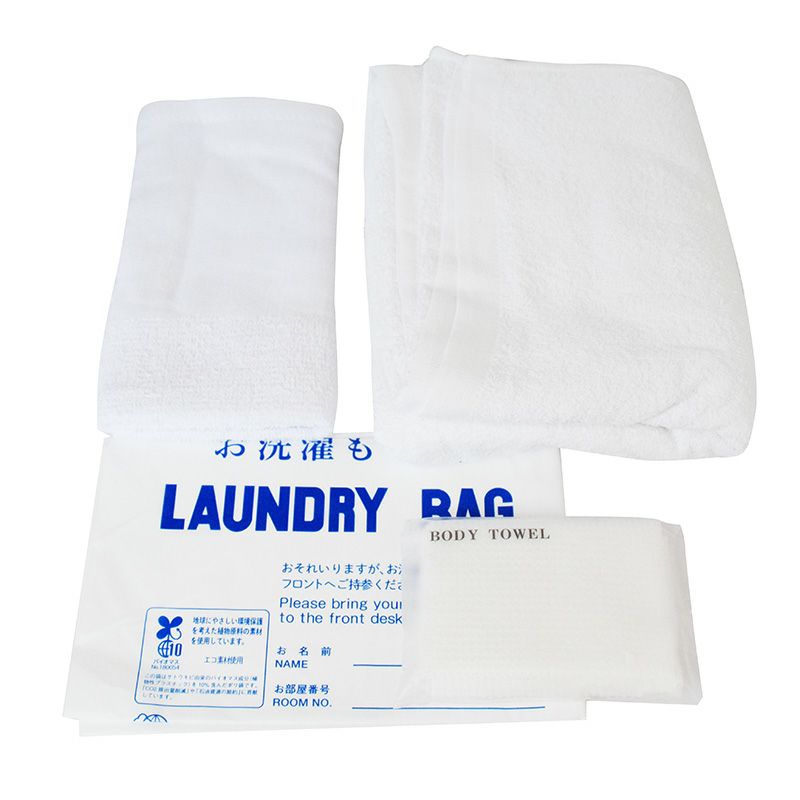 お泊まり12点セット 梨地ステンドバッグ3